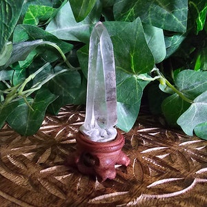 Lemurian Seed Quartz Crystal