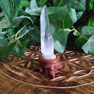 Lemurian Seed Quartz Crystal
