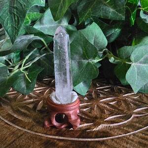 Lemurian Seed Quartz Crystal