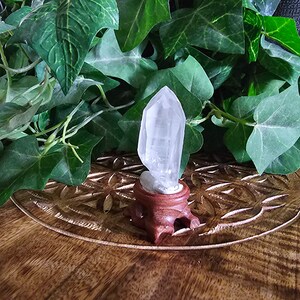 Lemurian Seed Quartz Crystal