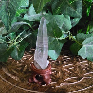Lemurian Seed Quartz Crystal