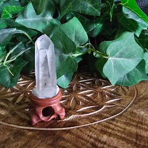 Lemurian Seed Quartz Crystal