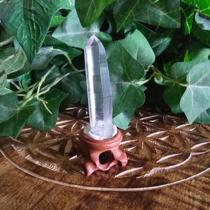 Lemurian Seed Quartz Crystal