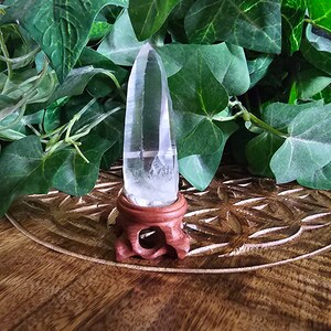 Lemurian Seed Quartz Crystal