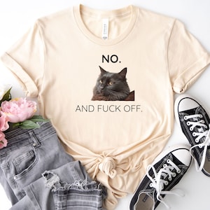 Grumpy cat tshirt, grumpy cat shirt, gift for cat person, cat shirt, grumpy morning, grumpy cat, Fuck Off, grumpy cat meme, grumpy cat meme