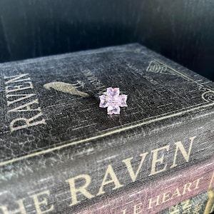 Puede incluir: Un anillo de plata con un grupo de cinco piedras preciosas rosas en forma de flor. El anillo está sobre una pila de libros con los títulos "El Cuervo", "El corazón delator" y "Los crímenes de la calle Morgue".