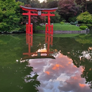 Brooklyn Botanic Garden Torii - gerahmte Kunst Fotokunst