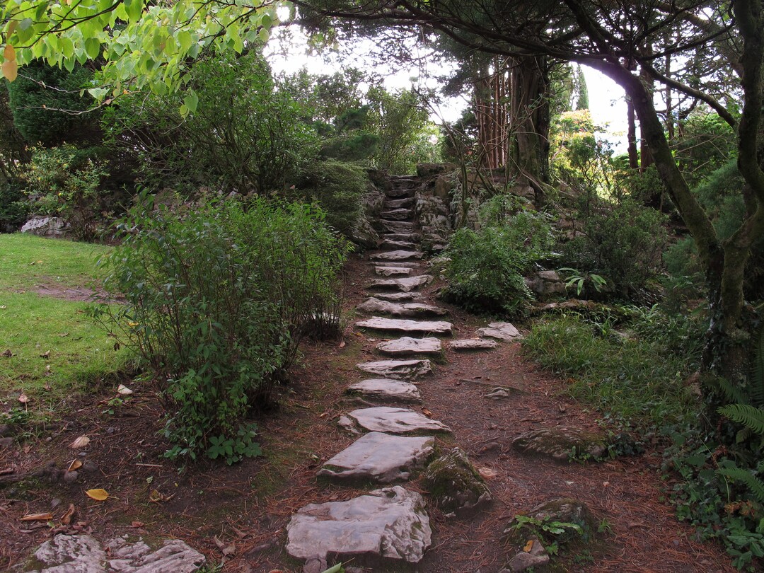 An Irish Path - Framed Art Photo - Etsy