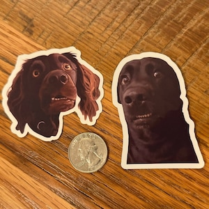 TikTok Scared Dogs Sticker Set - Custom Made