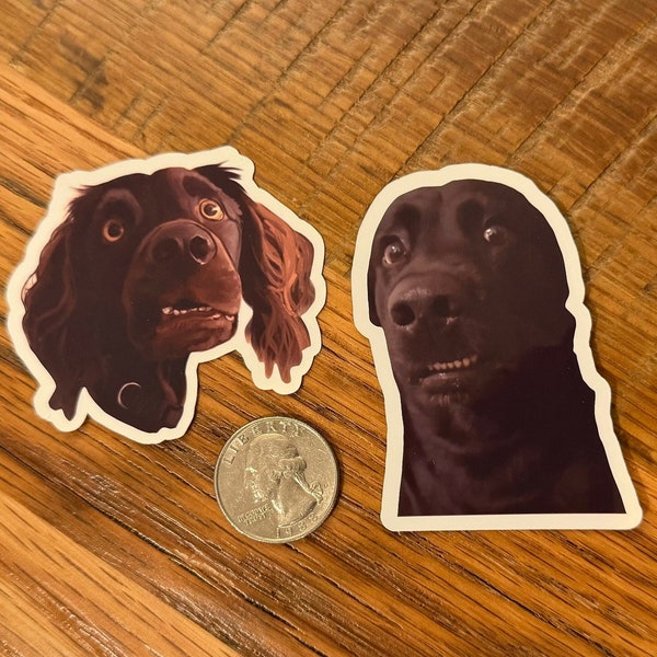 TikTok Scared Dogs Sticker Set - Custom Made