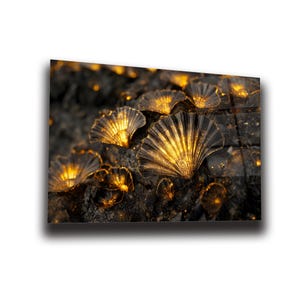 Seashell Wall Art , Tempered Glass Wall Art , Glass Printing , High Quality , Wall Hanging , Glassware  , Birthday Gift