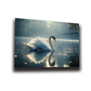 Swan Wall Art , Tempered Glass Wall Art , Glass Printing , High Quality , Home Decor , Office Wall Art , Housewarming Gift