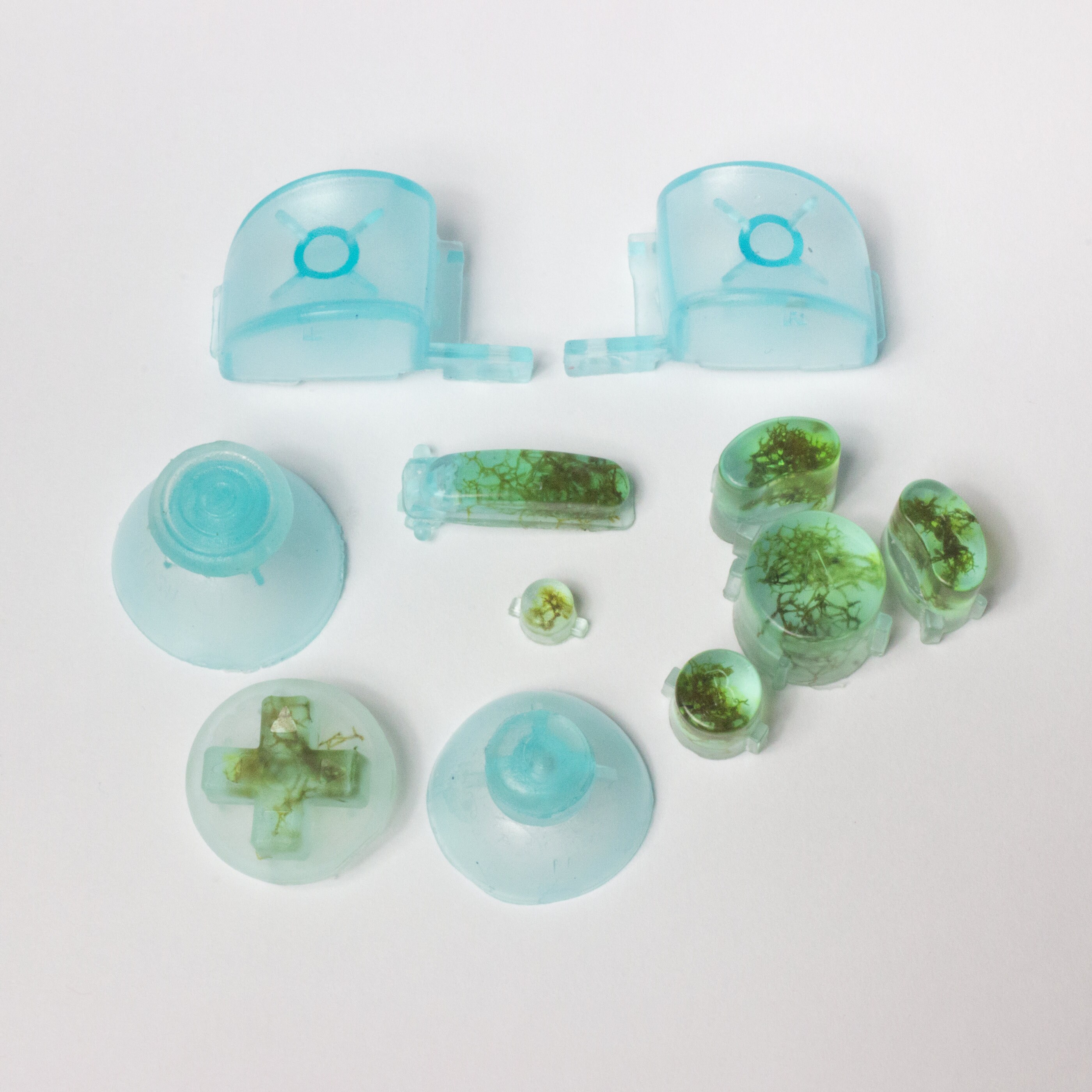 Gamecube Button Set Freshwater - Etsy