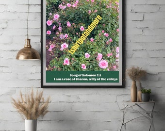 Pink Roses Svg, Digital Prints Download JPG "Romance: Inspiring Pink Rose Wall Art with Songs of Solomon  Soul-Stirring Motivational Print"