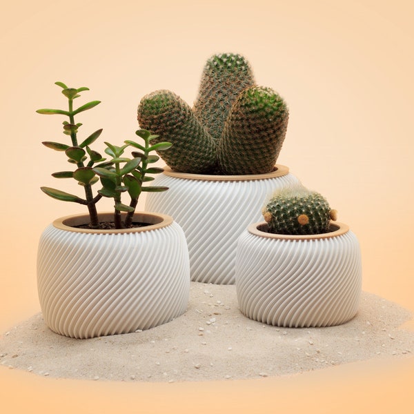 TinyCactusCups / 3D Druck Blumentopf Weiß mit Holzring+Untertopf für Kaktus/Kakteen/Sukkulenten/ umweltfreundliches PLA/Holz / Deko / Innen