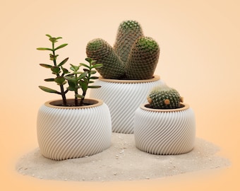 TinyCactusCups / 3D Druck Blumentopf Weiß mit Holzring+Untertopf für Kaktus/Kakteen/Sukkulenten/ umweltfreundliches PLA/Holz / Deko / Innen