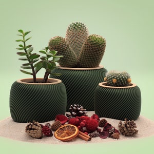 TinyCactusCups / 3D Druck Blumentopf Grün mit Holzring+Untertopf Grün für Kaktus/Sukkulenten/ umweltfreundliches PLA/Holz / Deko / Innen