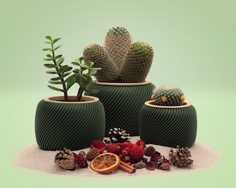 TinyCactusCups / 3D Druck Blumentopf Grün mit Holzring+Untertopf Grün für Kaktus/Sukkulenten/ umweltfreundliches PLA/Holz / Deko / Innen