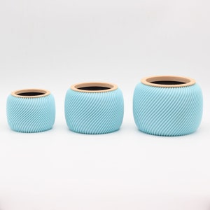 TinyCactusCups / 3D Druck Blumentopf Türkis mit Holzring+Untertopf für Kaktus/Kakteen/Sukkulenten/umweltfreundliches PLA/ Deko / Innen Aktiv