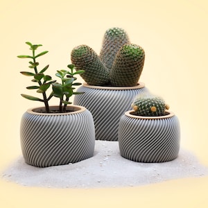 TinyCactusCups / 3D Druck Blumentopf Grau mit Holzring+Untertopf für Kaktus/Kakteen/Sukkulenten/ umweltfreundliches PLA/Holz / Deko / Innen