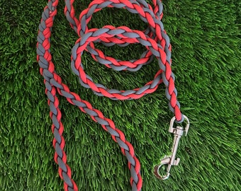 May include: A red and gray braided dog leash with a silver clip.