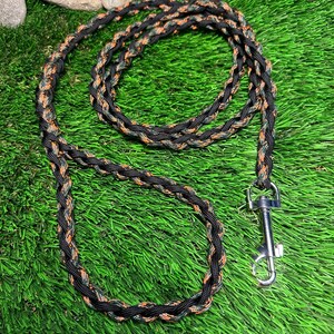 Paracord Dog (Pet) Leash