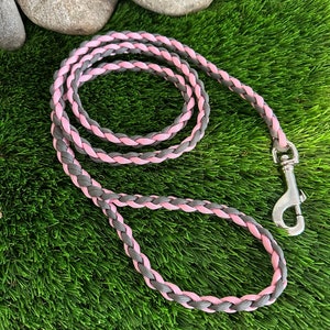 Paracord Dog (Pet) Leash