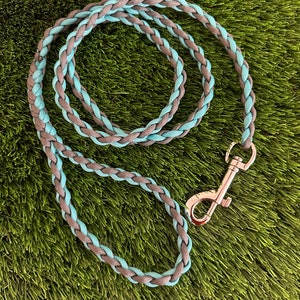 Paracord Dog (Pet) Leash