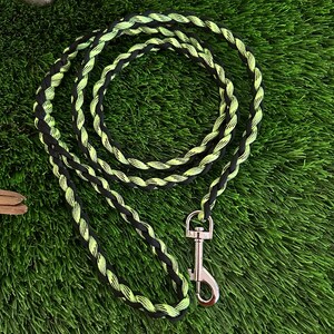 Paracord Dog (Pet) Leash