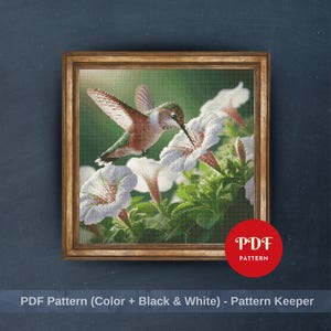 Hummingbird Cross Stitch Pattern, Floral Bird Embroidery Design, Needlepoint Chart, Easy Cross Stitch PDF Pattern, Instant Download, DIY