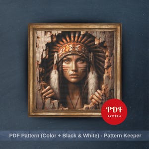 May include: A framed print depicting a Native American woman with a feathered headdress and face paint. The image is set within a gold-coloured wooden frame. The text "PDF Pattern" is visible on the image. The overall theme is a portrait.