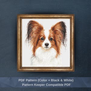 May include: A cross stitch pattern featuring a portrait of a Papillon dog with brown and white fur, set within a wooden frame. The text below reads: PDF Pattern (Color + Black & White) Pattern Keeper Compatible PDF.