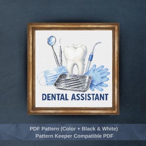 Op de afbeelding: Een ingelijst kruissteekpatroon met een centrale witte tand, een tandartsspiegel, een sonde, een metalen bakje met instrumenten, een blauw mondkapje en blauwe handschoenen. De tekst DENTAL ASSISTANT staat in het blauw onder de apparatuur.