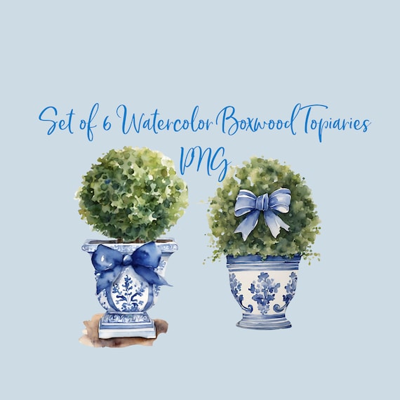 Watercolor Chinoiserie Boxwood Topiary Clipart, Blue and White (PNG Instant Download)