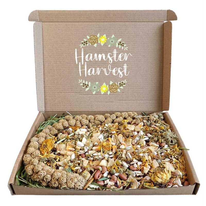 Animal Foraging Box - Etsy UK