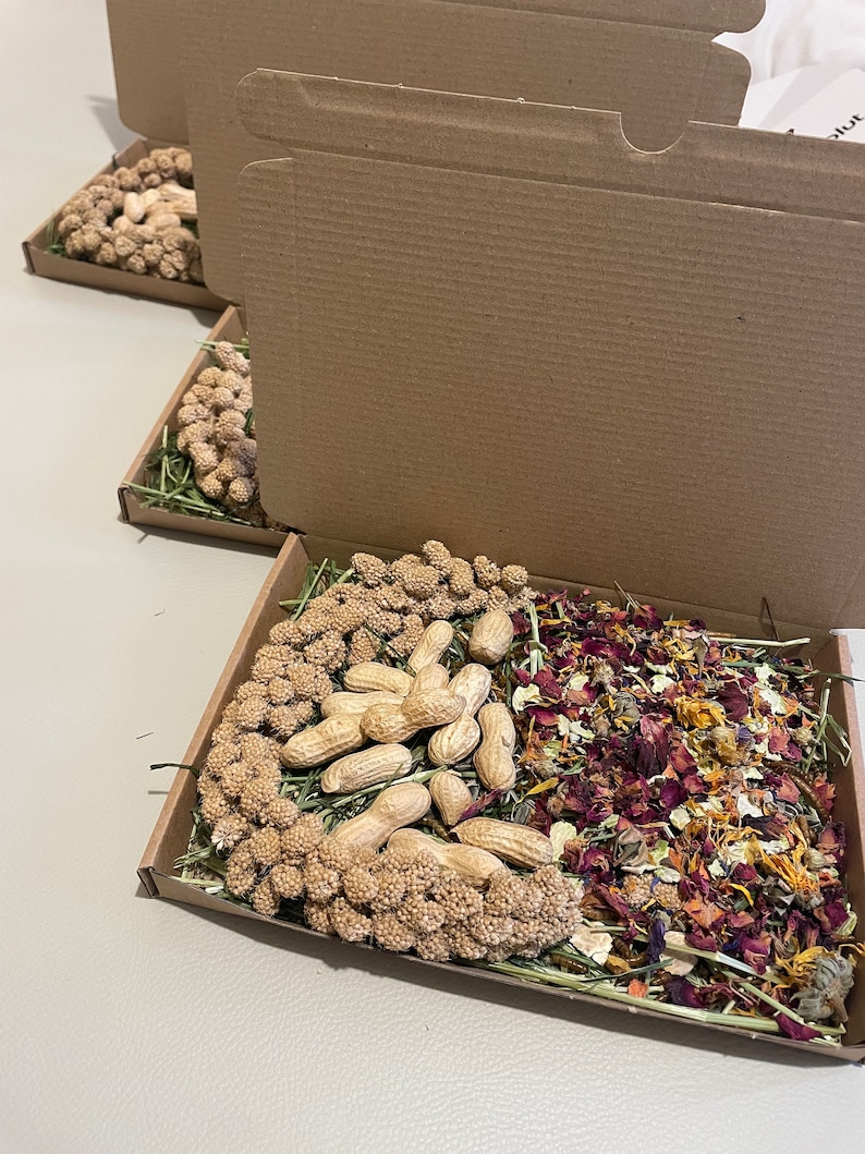 Hamster Forage Box. Dried Forage. Treats for Hamsters. Forage Mix