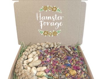 Hamster Forage Box. Dried Forage. Treats for Hamsters. Forage Mix. Hamster, forage selection box