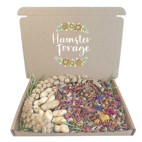 Hamster Forage Box. Dried Forage. Treats for Hamsters. Forage Mix. Hamster, forage selection box