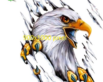 Aigle png,griffe d'aigle,téléchargement numérique,impression