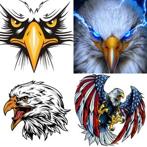 wild eagle, eagle claw, eagle gaze, lightning eagle, flying predator, sky eagle, eagle head, american eagle,for him gift,