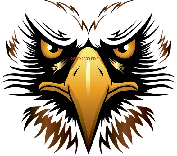 Tête d'aigle png, regard d'aigle, griffe d'aigle, bec d'aigle