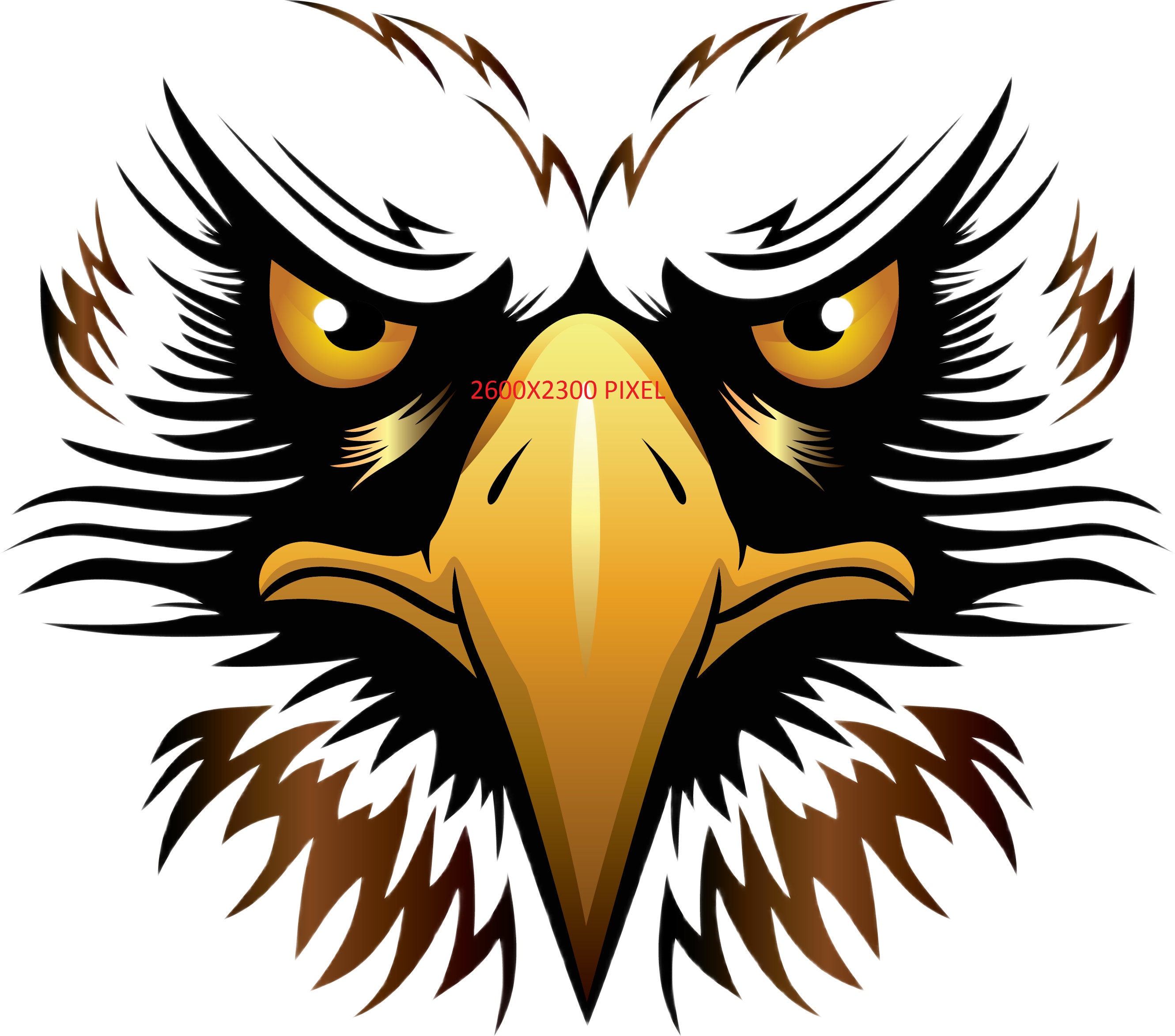 ◡̈*✧Eagle Eagle Head LED Neon Sign Light Pop Art