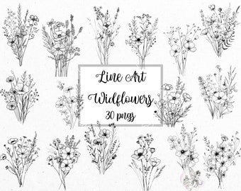 Line Art Wildflower Clip Art: 30 PNG Floral Illustrations (Digital Download)
