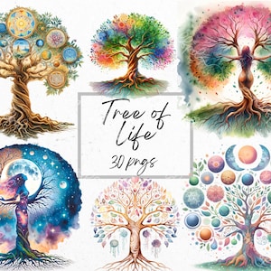 May include: A set of 6 digital watercolor illustrations of tree of life designs. Each design features a tree with intricate details and a variety of colors, including green, blue, purple, and gold. The text "Tree of Life 30 pngs" is included in the image.
