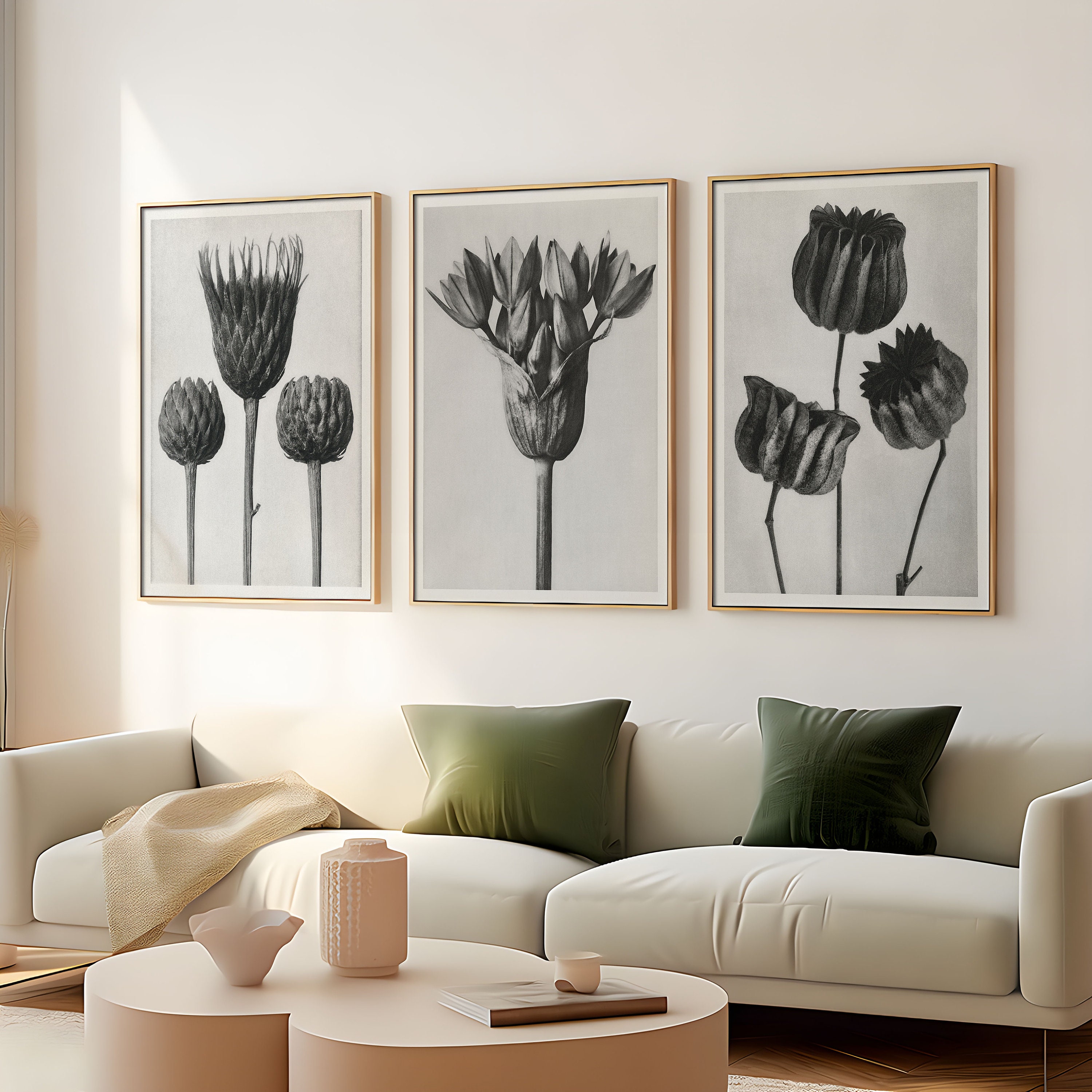 Karl blossfeldt - Etsy 日本