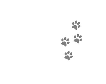 Paw Prints Instant Printable Digital Download - Etsy