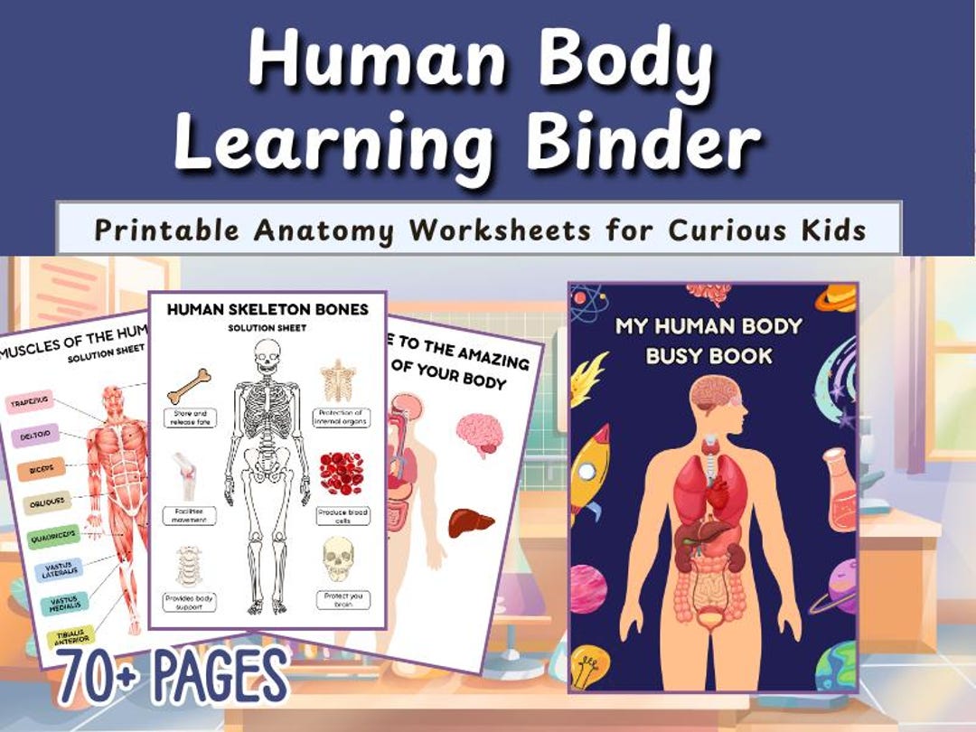 Human Body Busy Book PDF | My Body Worksheets for Kids | Anatomy ...