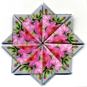 May include: A pink and green floral design is repeated in a starburst pattern on a white background. The design is made up of eight triangles, each with a different section of the floral pattern.