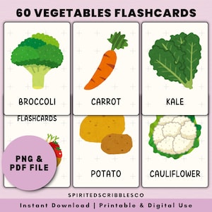 60 cartes-éclair de légumes Carte-éclair éducative d'aliments à imprimer, image d'illustration de légumes Montessori | Téléchargement numérique PNG et impression PDF