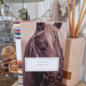May include: A book titled "Horse Stories" featuring a brown horse on the cover. The book is part of the Everyman's Pocket Classics series and has a purple tassel bookmark.